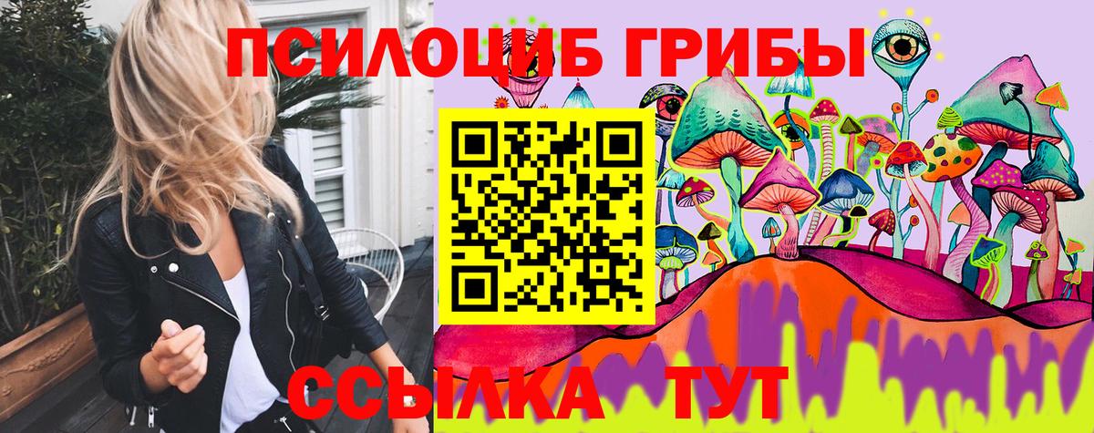 Псилоцибиновые грибы мицелий Туапсе