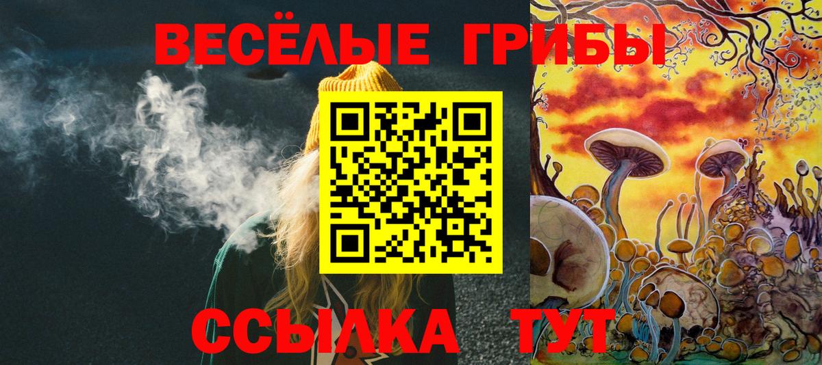 Галлюциногенные грибы ЛСД  Галлюциногенные грибы Psilocybe  Вход с VPN  Туапсе 